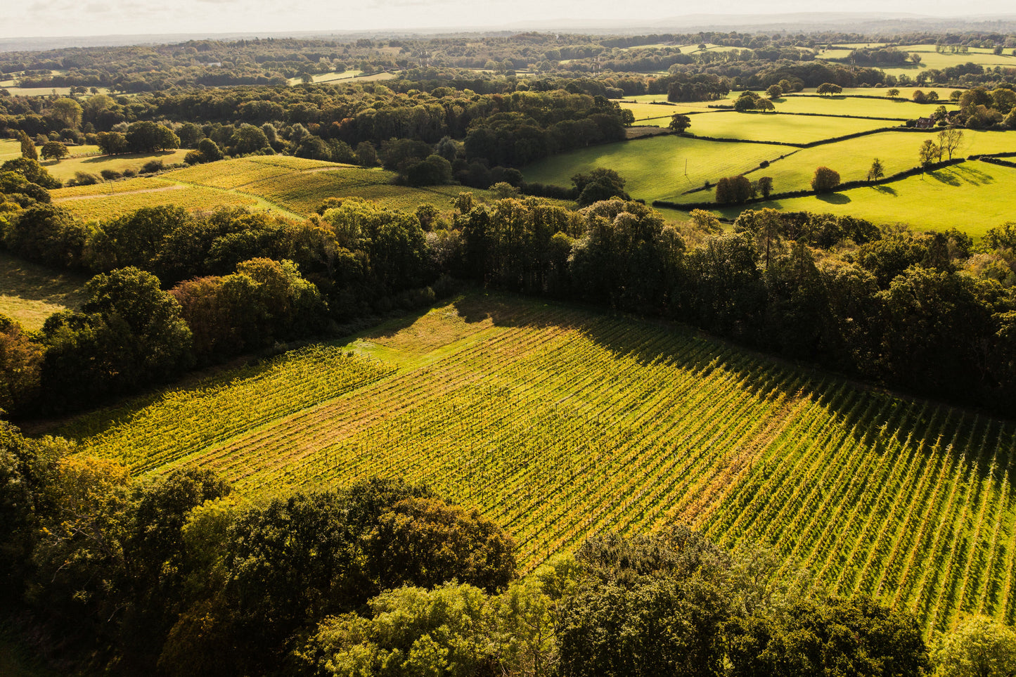 Advanced Principles of Winemaking -Bottling and Tirage Ops 3 days