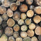 Domestic Chainsaw Use: Maintenance & Cross Cutting