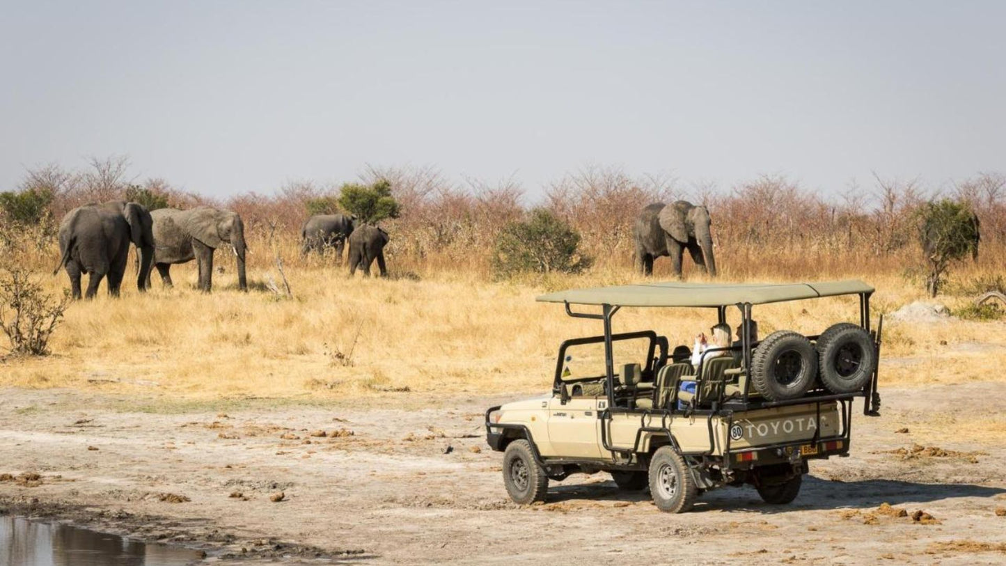 (Animal Studies) TRIP TO SOUTH AFRICA 2026 -- 3rd payment due by Fri 20 Feb