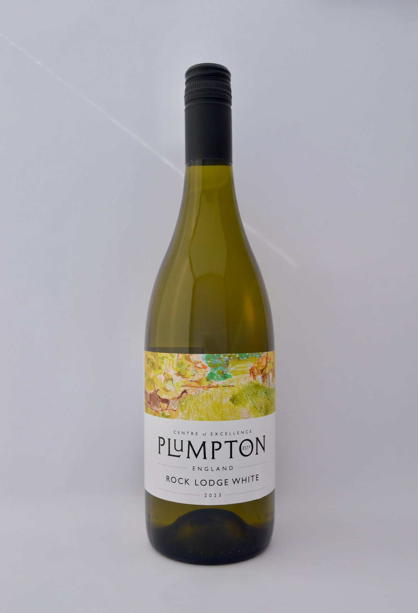 Rock Lodge White Wine - Plumpton Estate Box of Six