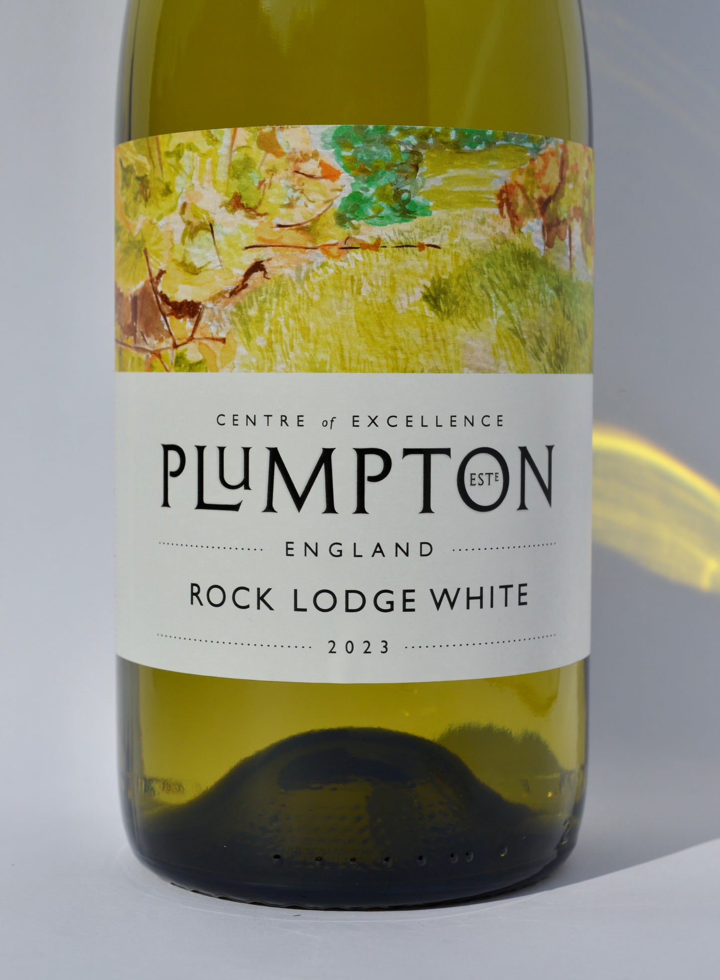 Rock Lodge White Wine - Plumpton Estate Box of Six