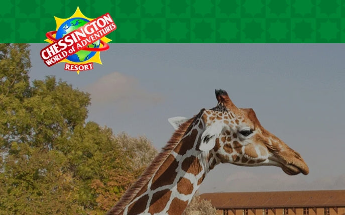 (Animal Studies) Chessington World of Adventures