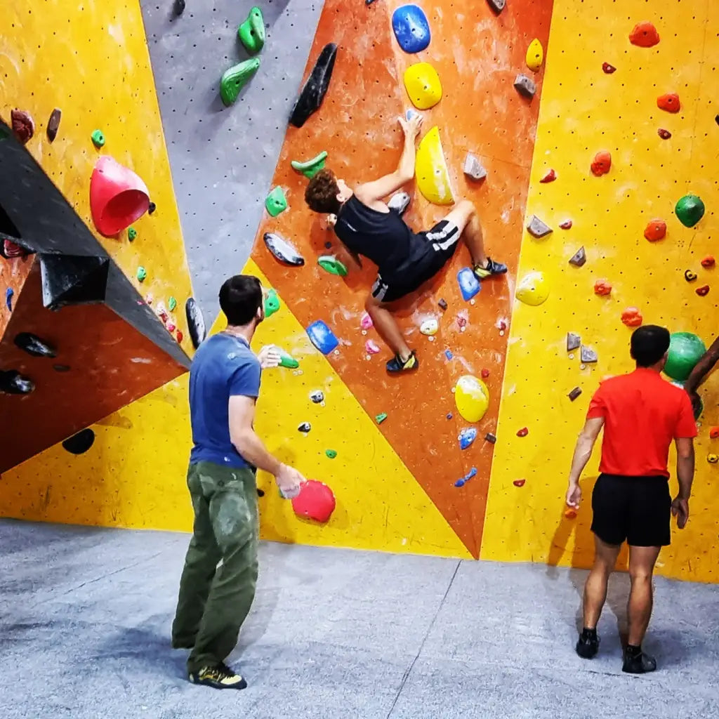 Climbing Wall Instructor Training