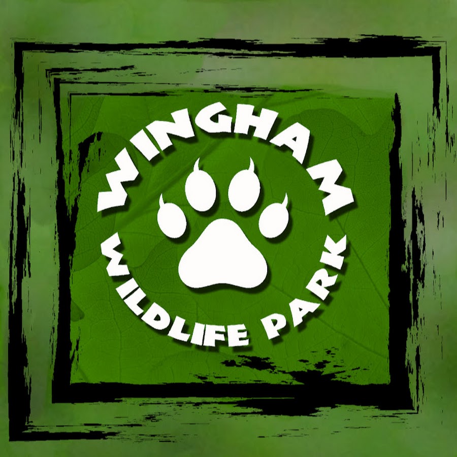 (Animal Studies) Level 3 BTEC trip to Wingham Wildlife Park
