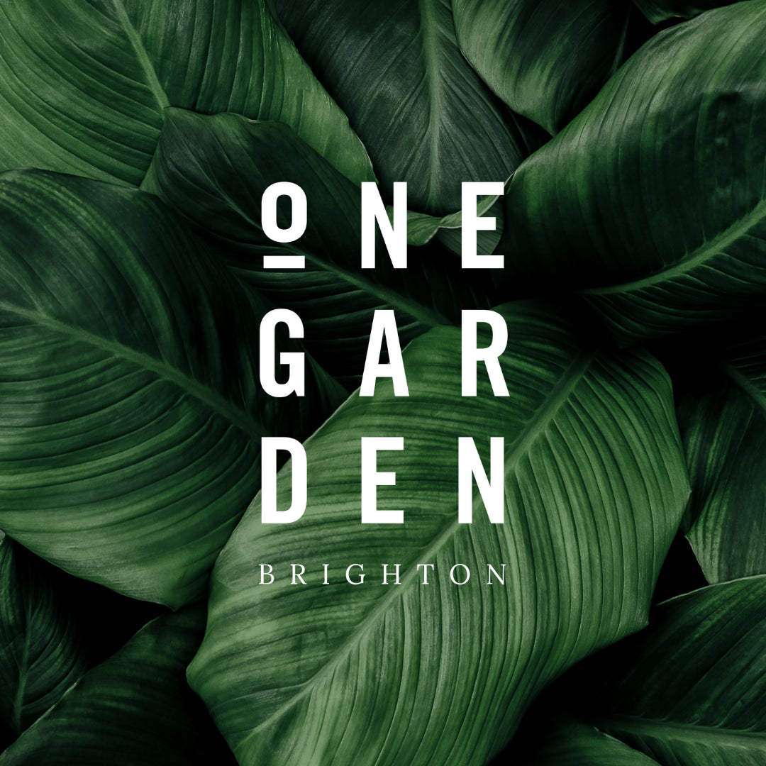 Introduction to Plant Propagation - Plants for Free