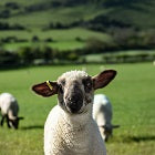 Adventure Education and Sport Students - Level 3 Year 1 Wales Residential Week