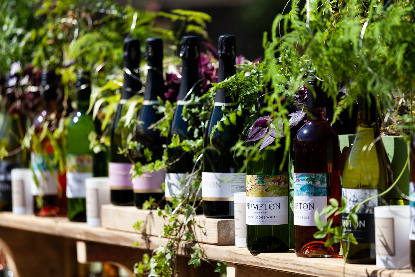Introduction to Wine Marketing