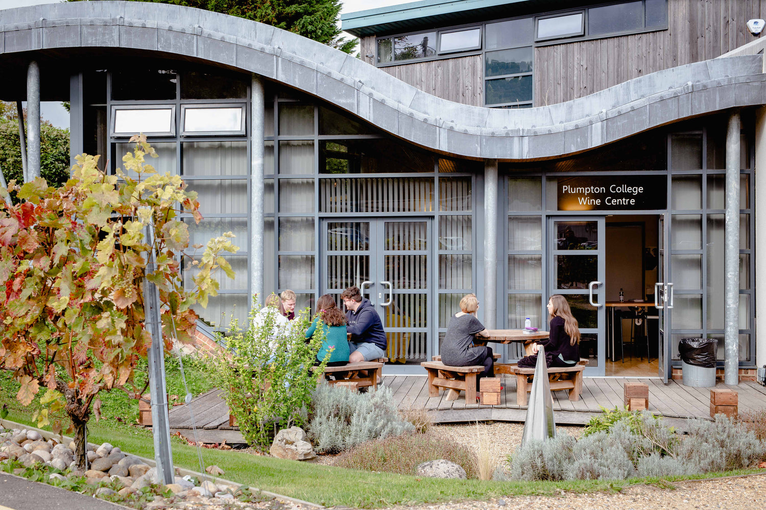 Wine Courses