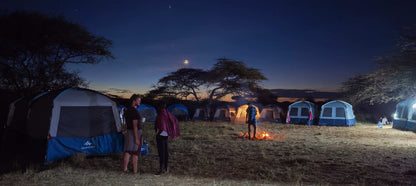 Kenya 2027 Payment 4 Final: £445.00