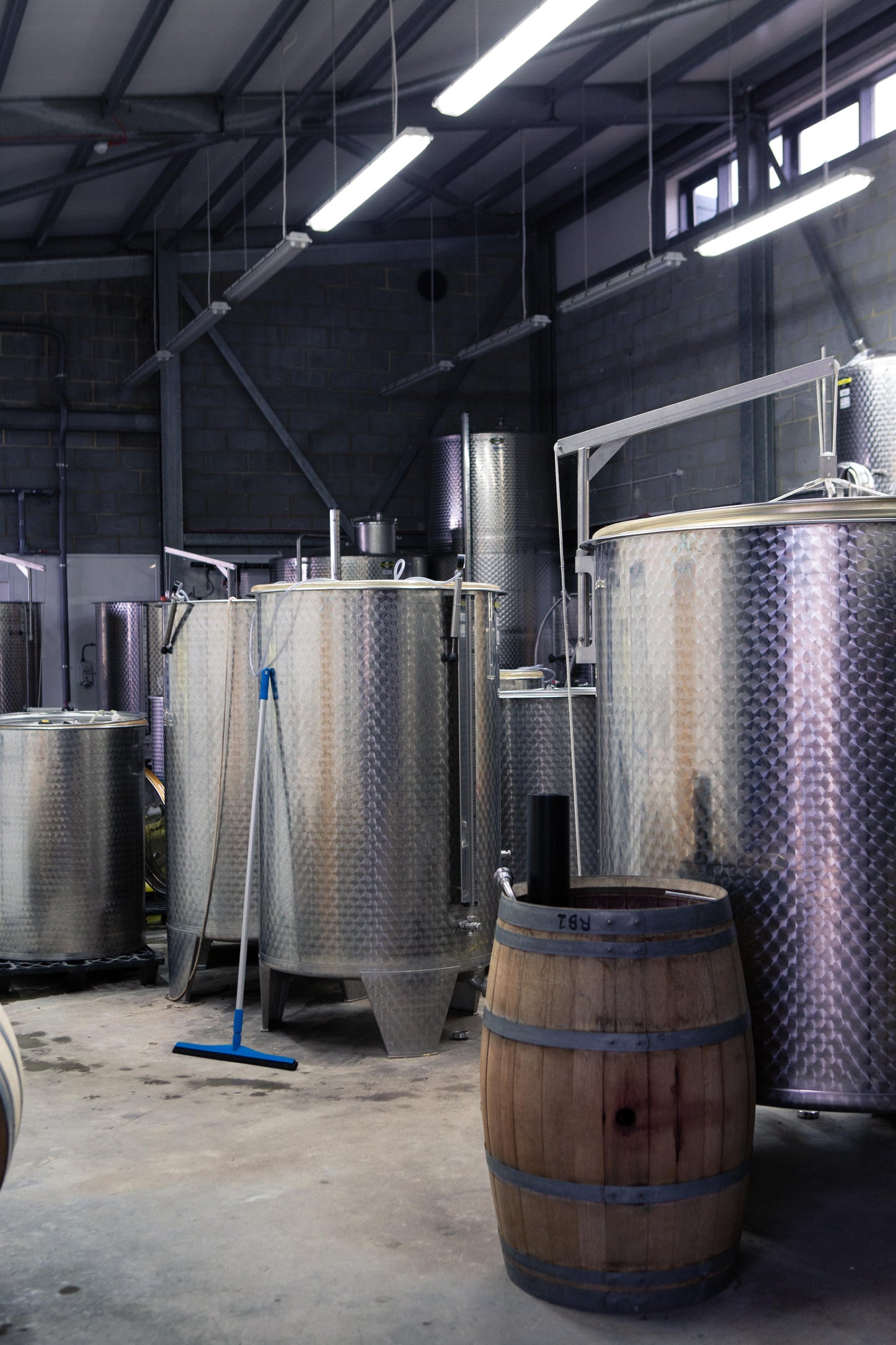 Winery Engineering and Operations | CPD course