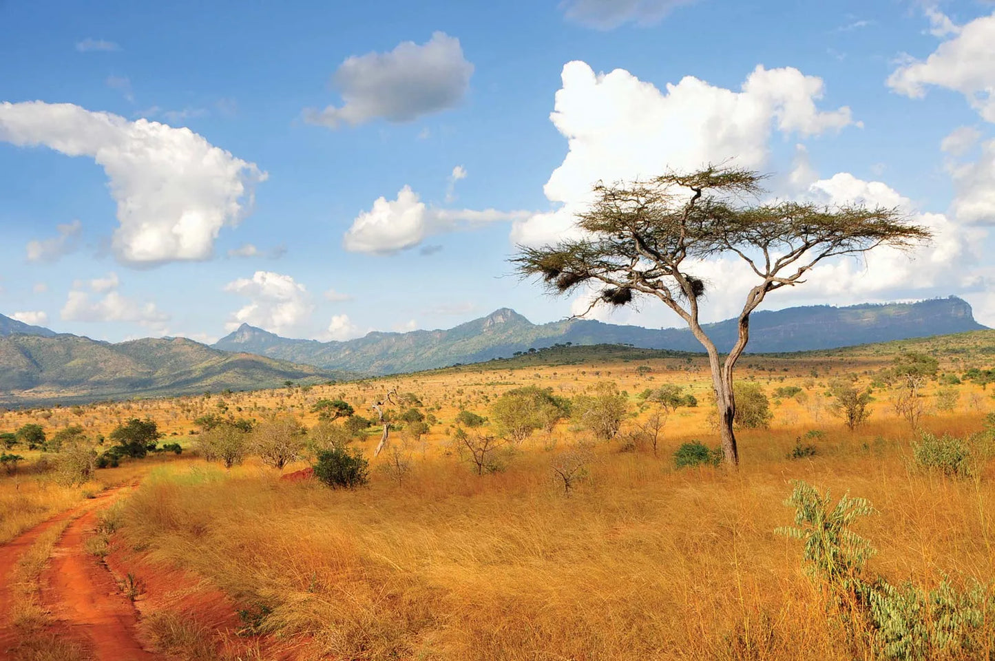 Kenya trip - final payment £5