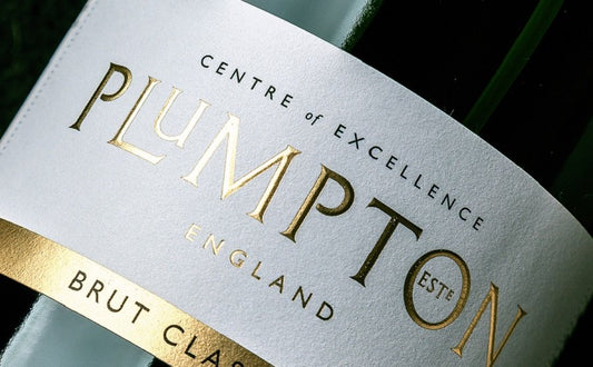 Brut Classic NV - Plumpton Estate Box of Six