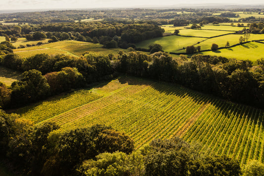 Principles Of Wine Business