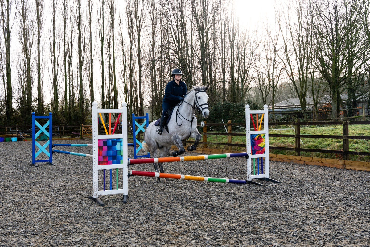 Equine Anatomy and Physiology: Understanding the Horse from the Inside Out