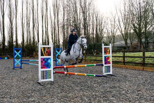 Equine Anatomy and Physiology: Understanding the Horse from the Inside Out