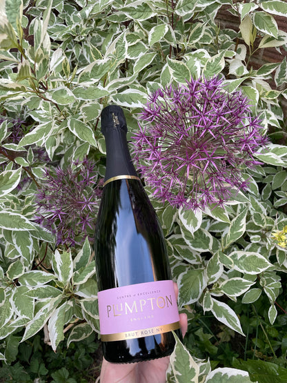 Plumpton Estate Brut Rosé NV
