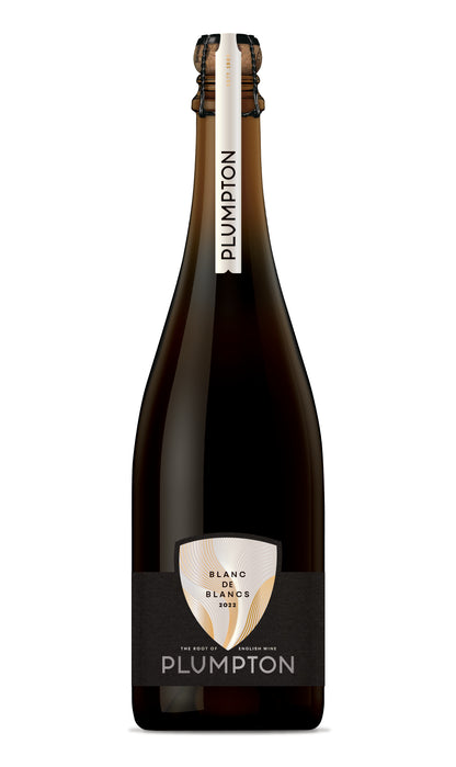 Plumpton Estate Blanc de Blancs 2018 Magnum