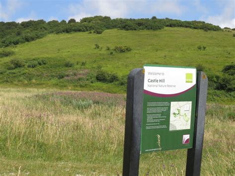 (Animal Studies) T Level - Woodingdean Nature Reserve