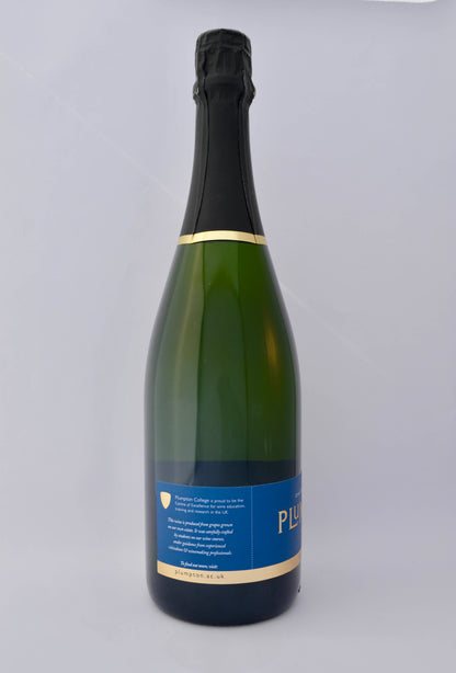 Brut Reserve 2017 - Plumpton Estate Box of Six