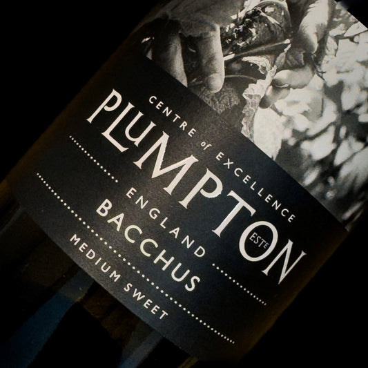 Bacchus 2023 - Plumpton Estate Box of Six