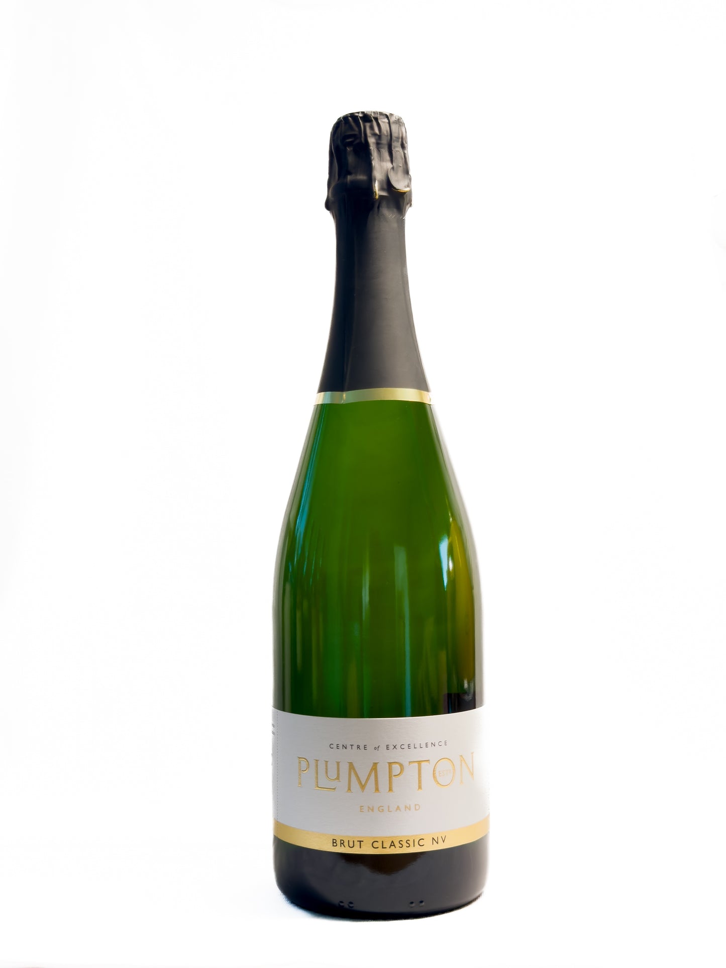 Brut Classic NV - Plumpton Estate Box of Six