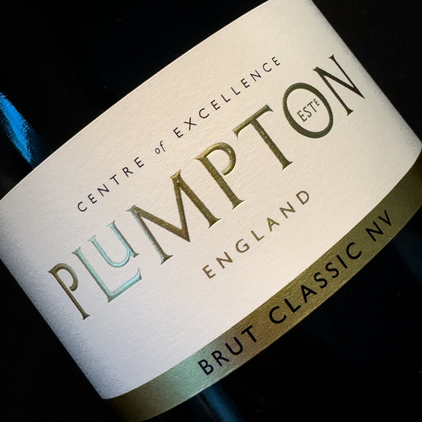 Brut Classic NV - Plumpton Estate Box of Six