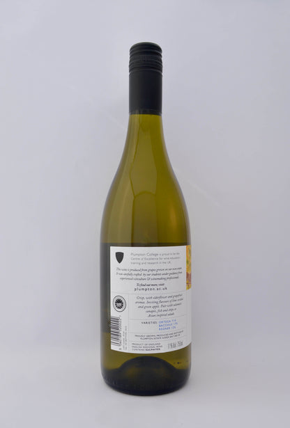 Rock Lodge White Wine - Plumpton Estate Box of Six
