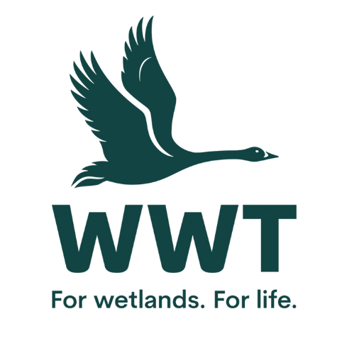 (Animal Studies) Level 2 curriculum trip to the Wildfowl & Wetlands Trust