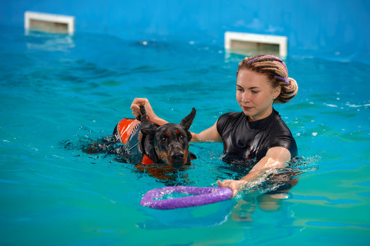 Level 3 Certificate | Small Animal Hydrotherapy | Skills and Education Group Awards