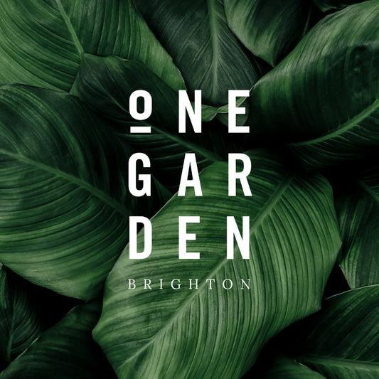 Introduction to Plant Propagation - Plants for Free