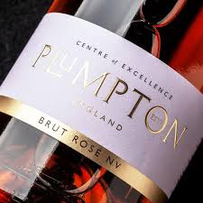 Brut Rosé NV - Plumpton Estate Box of Six